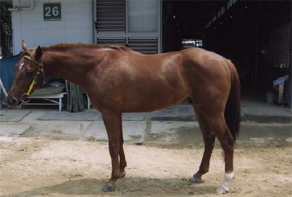 �ʰż� ����