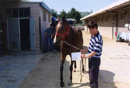 ���� ����