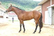 ������ (GOSEONGNEUNG) ����