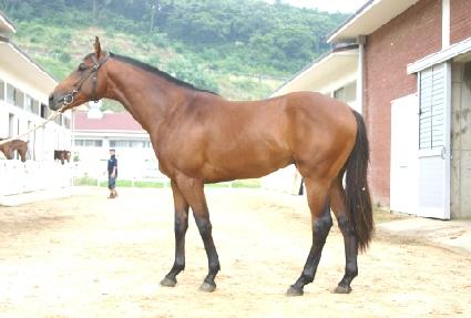 ������ ����