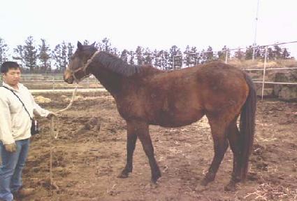 �׿������� ����