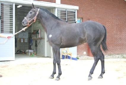 ��Ʈ����Ŀ ����