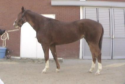 ��Ʈ�չڽ� ����