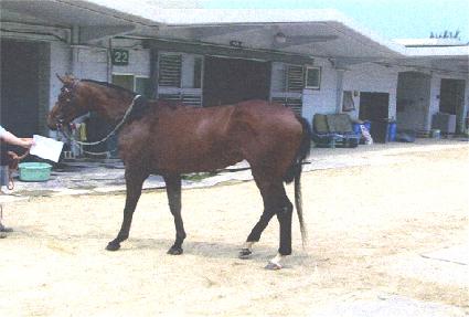 �������� ����