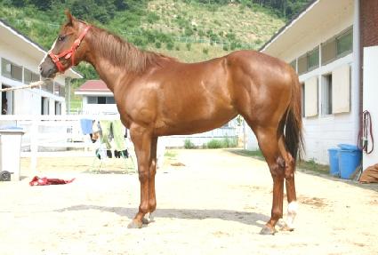 �ʺ�� ����