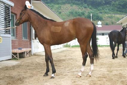 ���� ����