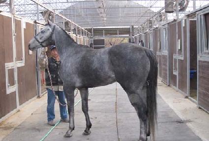 �����Ѱ��� ����