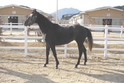 �帮�ֿ��� ����