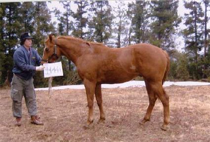 Ÿ���÷��� ����