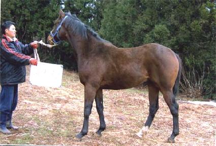 ����� ����