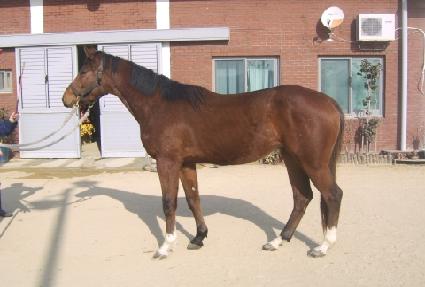 �ص����� ����