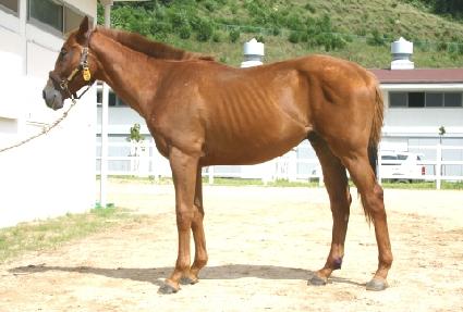 ������ ����