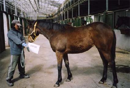 ö������ ����