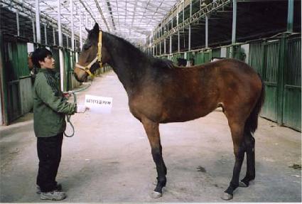 �õ�̽� ����