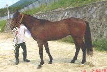 Ÿ������ (TAGONAN BYEOL) ����