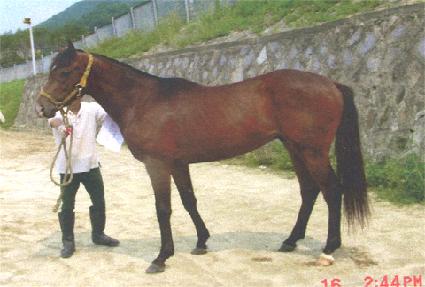 Ÿ������ ����