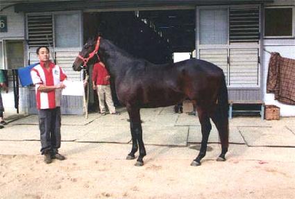 �̱� ����