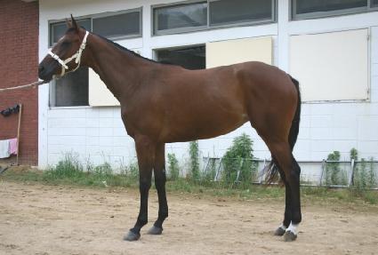 �ͷ����� ����