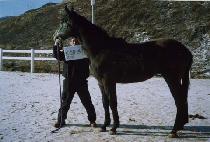 ����Ǯ������ (WONDERFUL LIFE) ����