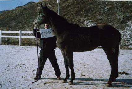 ����Ǯ������ ����