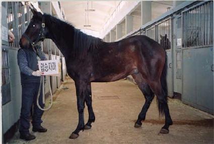 ������ǳ ����