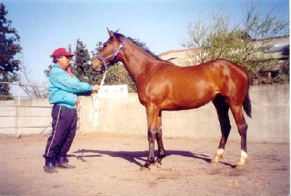 ���ϵ己 ����