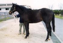 �⼺���� (GISEONG YEOKSEONG) ����