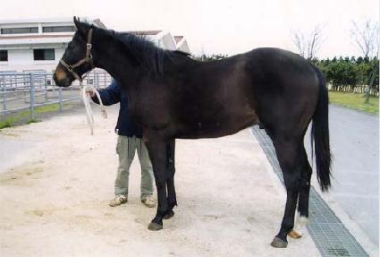 �⼺���� ����