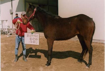 ���� ����