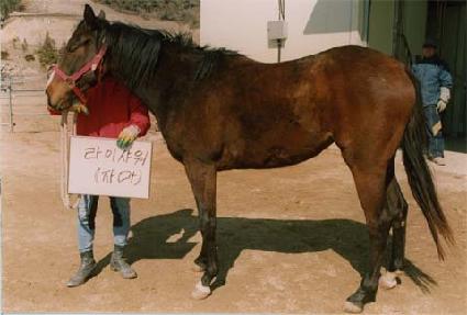 ��� ����