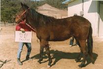 �����ڸ� ����