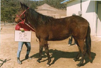 �����ڸ� ����