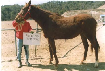 ȭõ��� ����