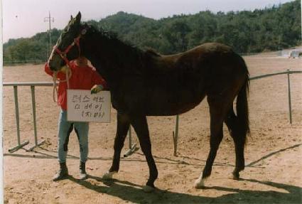 ���ھ��� ����