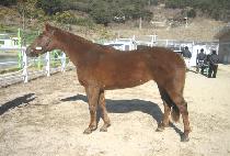 �Խž�� (IPSINN YANGMYEONG) ����