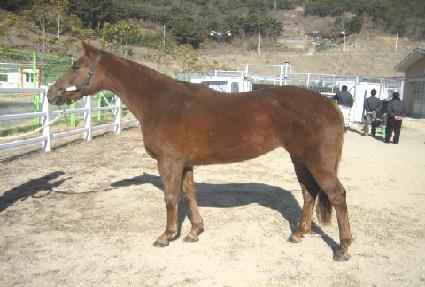 �Խž�� ����