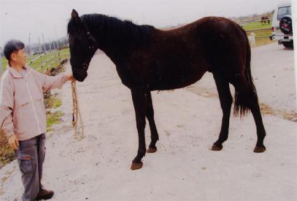 ���渶��ƾ ����