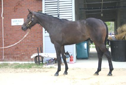 ���� ����