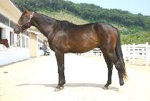 ���� (SEONGMODO) ����