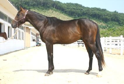 ���� ����