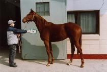 ���رݻ� (NAMHAE GEUMSAN) ����