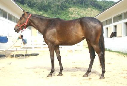 ���°��� ����