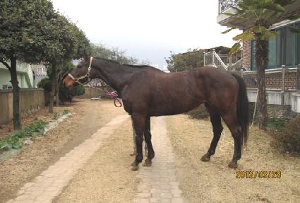 �������� ����