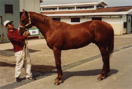 ���̺���Ƽ ����