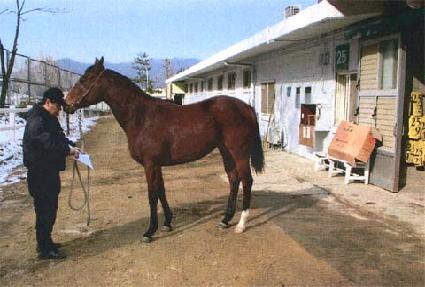 �����Ͼ� ����