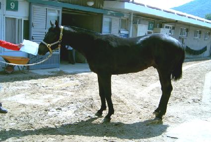 �����ڸ� ����