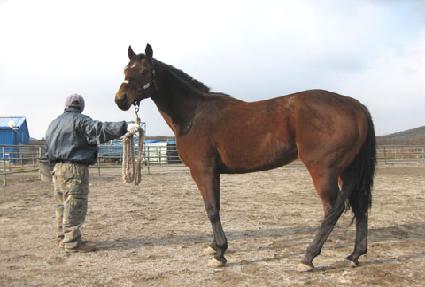 �������� ����