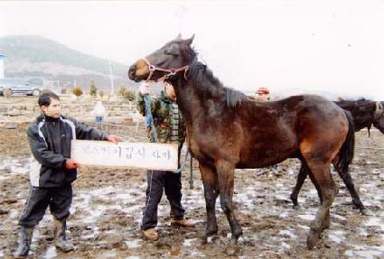 �����ڸ� ����