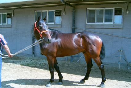 ��ƿ�� ����