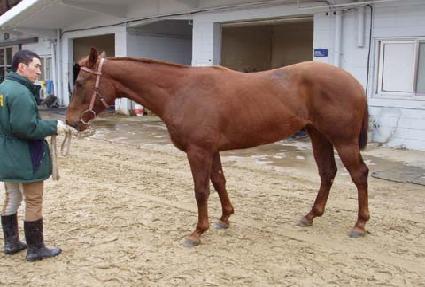 �ϴ������� ����